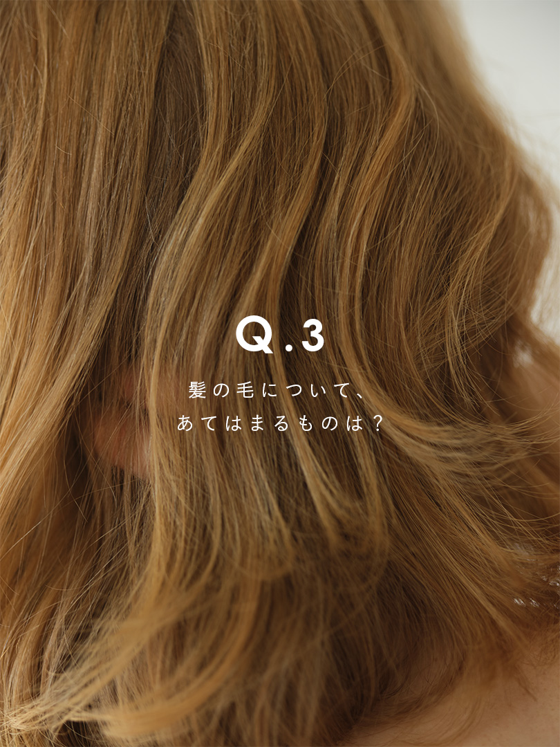 Q.3「髪の毛について、あてはまるものは？」